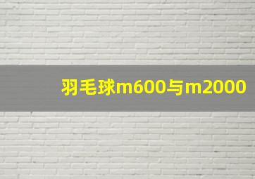 羽毛球m600与m2000