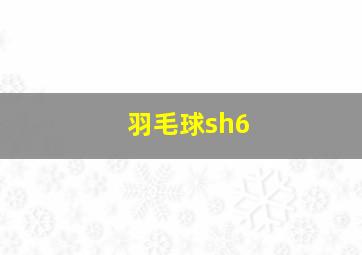 羽毛球sh6