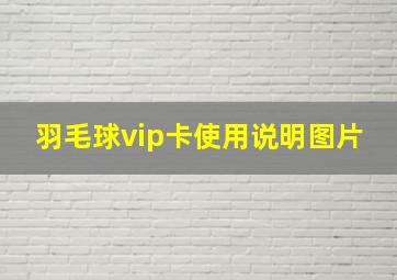 羽毛球vip卡使用说明图片