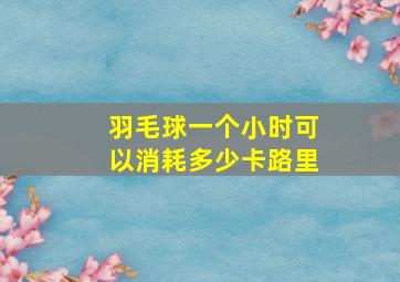 羽毛球一个小时可以消耗多少卡路里