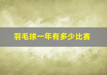 羽毛球一年有多少比赛