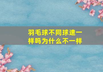 羽毛球不同球速一样吗为什么不一样