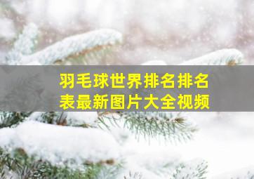 羽毛球世界排名排名表最新图片大全视频