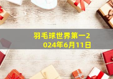 羽毛球世界第一2024年6月11日