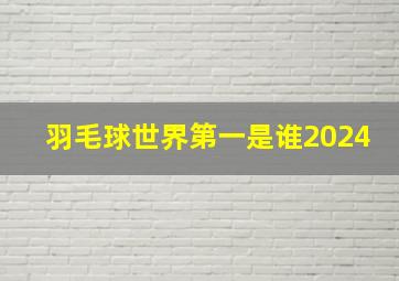 羽毛球世界第一是谁2024