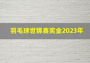 羽毛球世锦赛奖金2023年