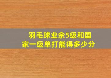 羽毛球业余5级和国家一级单打能得多少分