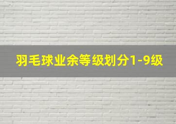 羽毛球业余等级划分1-9级