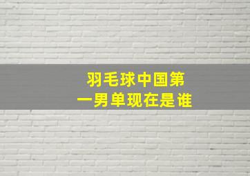 羽毛球中国第一男单现在是谁