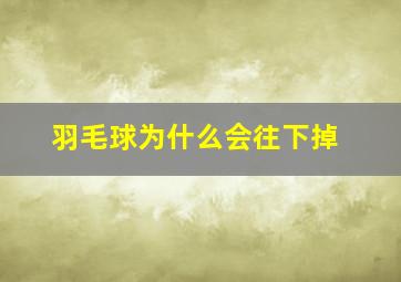 羽毛球为什么会往下掉