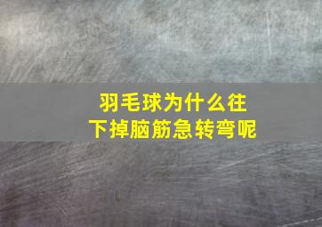 羽毛球为什么往下掉脑筋急转弯呢