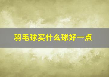 羽毛球买什么球好一点