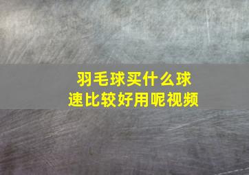 羽毛球买什么球速比较好用呢视频