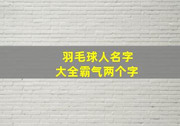 羽毛球人名字大全霸气两个字