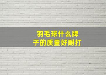 羽毛球什么牌子的质量好耐打