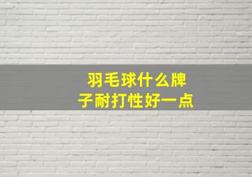 羽毛球什么牌子耐打性好一点