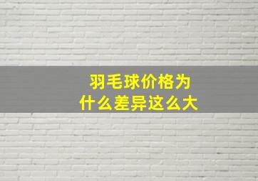 羽毛球价格为什么差异这么大