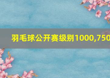 羽毛球公开赛级别1000,750