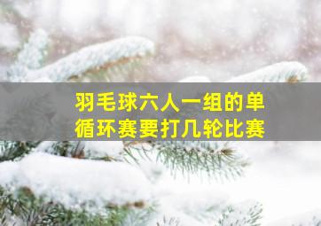 羽毛球六人一组的单循环赛要打几轮比赛