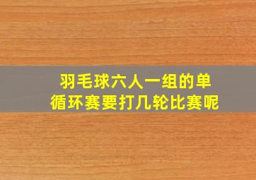 羽毛球六人一组的单循环赛要打几轮比赛呢