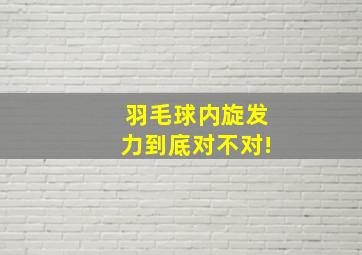 羽毛球内旋发力到底对不对!