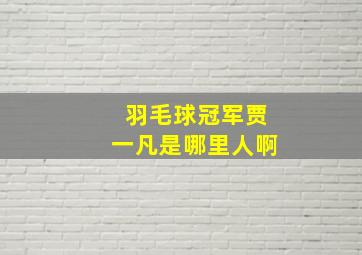 羽毛球冠军贾一凡是哪里人啊