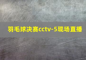 羽毛球决赛cctv-5现场直播