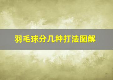 羽毛球分几种打法图解