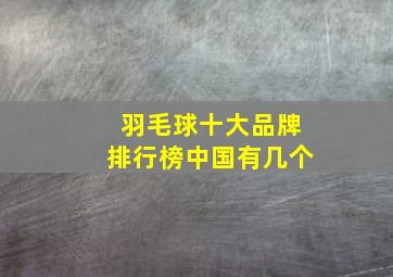 羽毛球十大品牌排行榜中国有几个