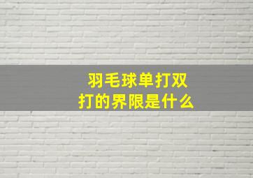 羽毛球单打双打的界限是什么