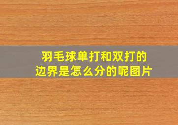 羽毛球单打和双打的边界是怎么分的呢图片