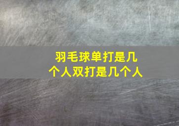 羽毛球单打是几个人双打是几个人