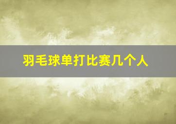 羽毛球单打比赛几个人