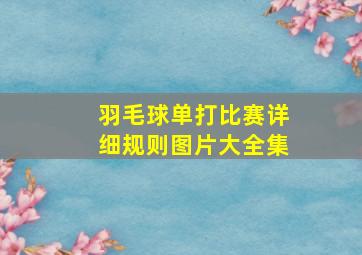 羽毛球单打比赛详细规则图片大全集