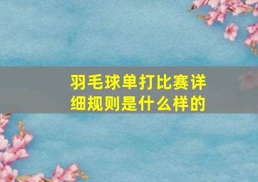 羽毛球单打比赛详细规则是什么样的