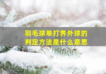 羽毛球单打界外球的判定方法是什么意思