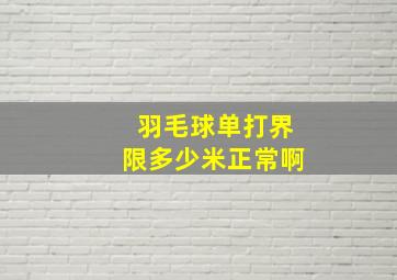 羽毛球单打界限多少米正常啊