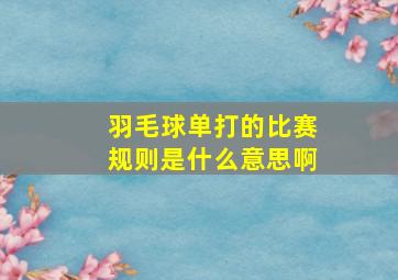 羽毛球单打的比赛规则是什么意思啊