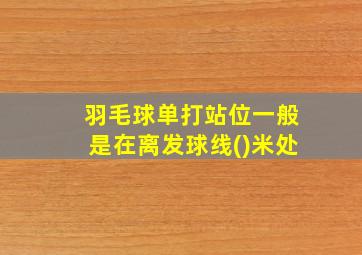 羽毛球单打站位一般是在离发球线()米处