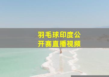 羽毛球印度公开赛直播视频