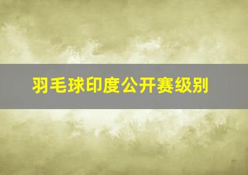 羽毛球印度公开赛级别