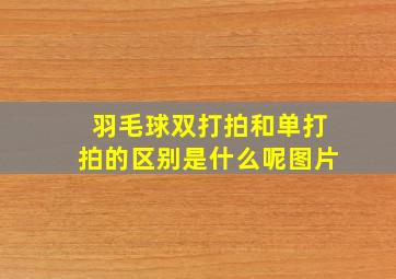 羽毛球双打拍和单打拍的区别是什么呢图片