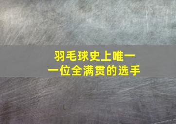 羽毛球史上唯一一位全满贯的选手