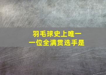 羽毛球史上唯一一位全满贯选手是