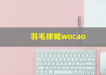 羽毛球喊wocao