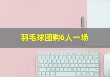 羽毛球团购6人一场