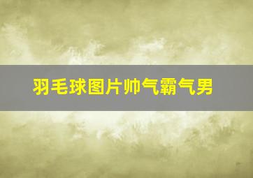 羽毛球图片帅气霸气男