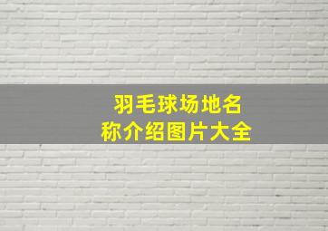 羽毛球场地名称介绍图片大全