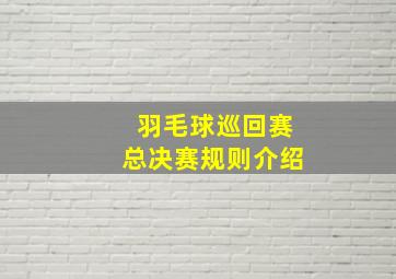 羽毛球巡回赛总决赛规则介绍