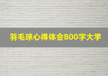 羽毛球心得体会800字大学